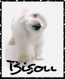 Une bisous